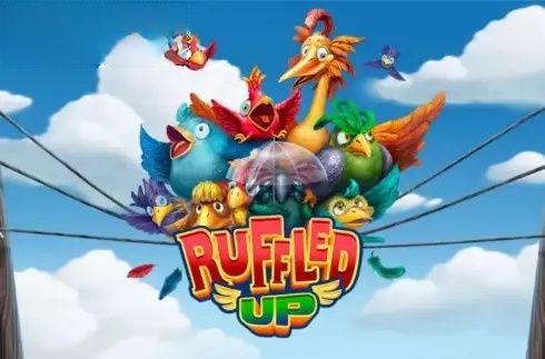 Ruffled Up