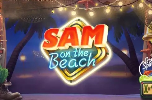 Sam on the Beach