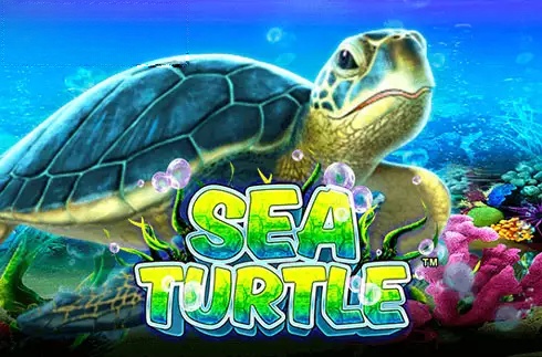 Sea Turtle