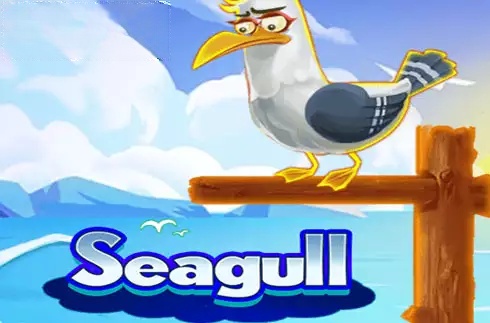 Seagull