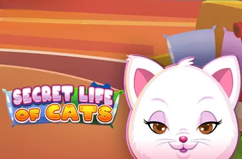 Secret Life of Cats