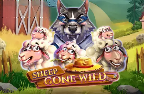 Sheep Gone Wild