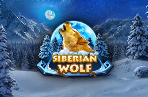 Siberian Wolf