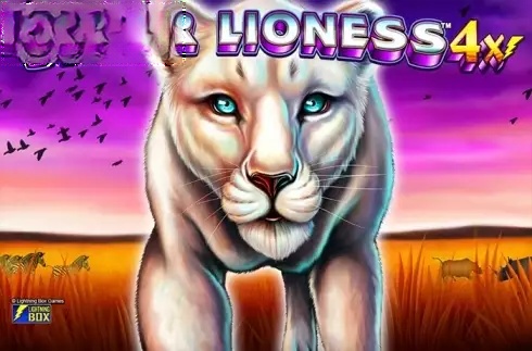 Silver Lioness 4x