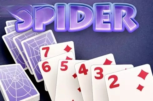 Spider
