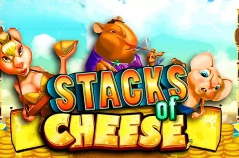Stacks of Cheese