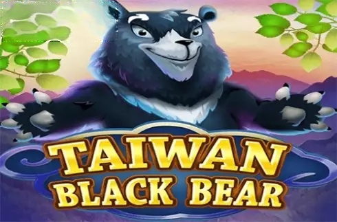 Taiwan Black Bear
