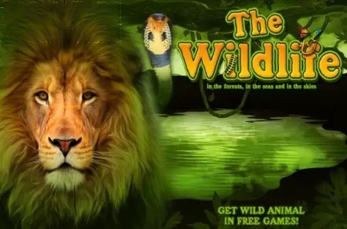 The Wildlife