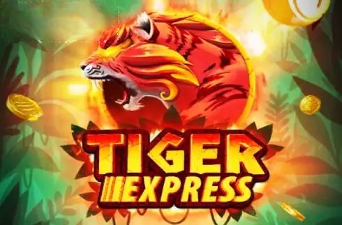 Tiger Bingo Express