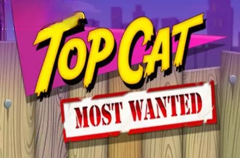 Top Cat Most Wanted