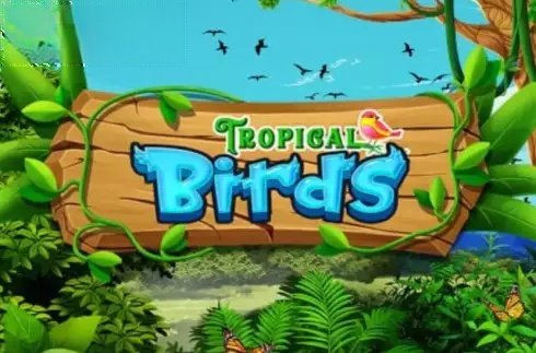 Tropical Birds