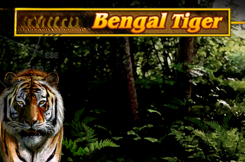 Untamed Bengal Tiger