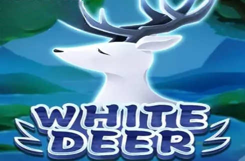 White Deer