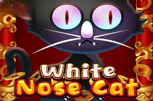 White Nose Cat