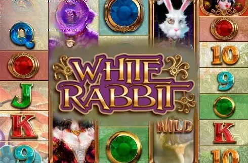 White Rabbit