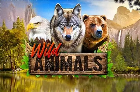 Wild Animals
