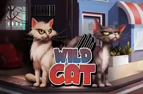 Wild Cat