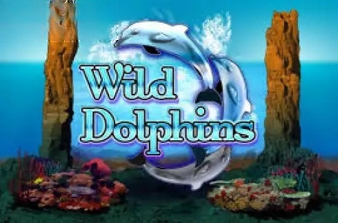 Wild Dolphins