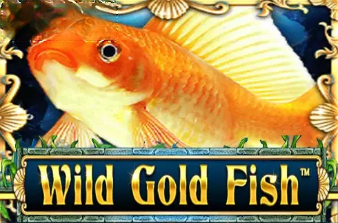 Wild Gold Fish