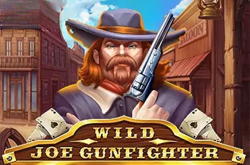 Wild Joe Gunfighter