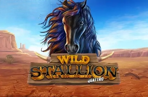 Wild Stallion