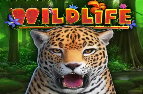 Wildlife