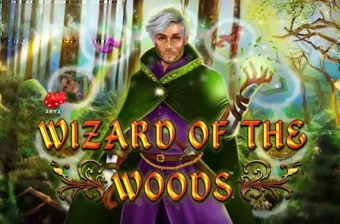 Wizard of the Woods