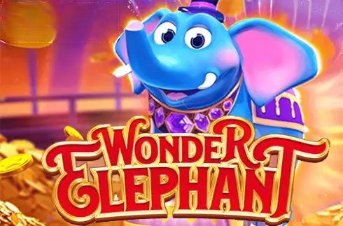 Wonder Elephant