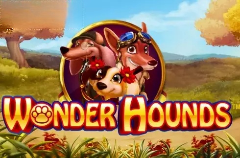 Wonder Hounds