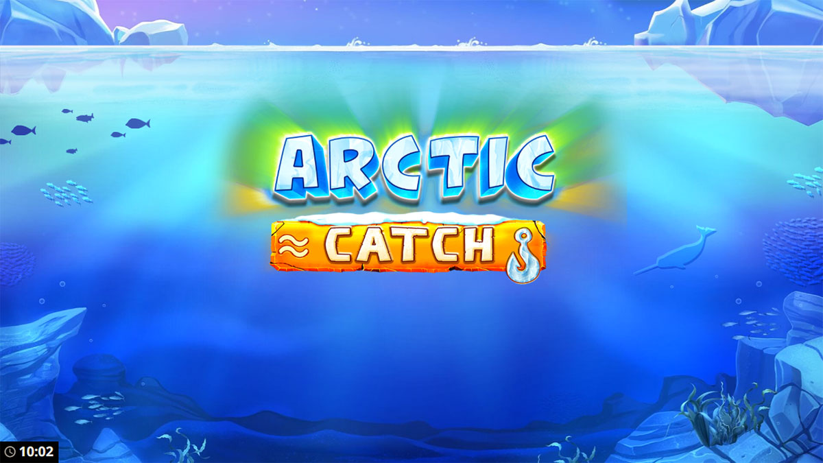 Arctic Catch screenshot