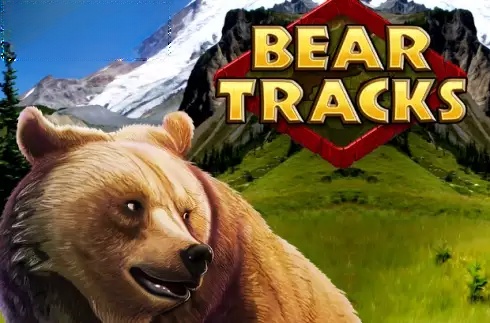 Bear Tracks