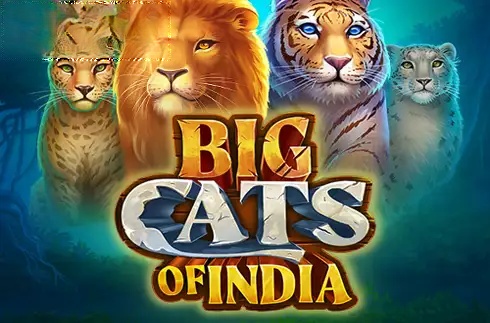 Big Cats of India