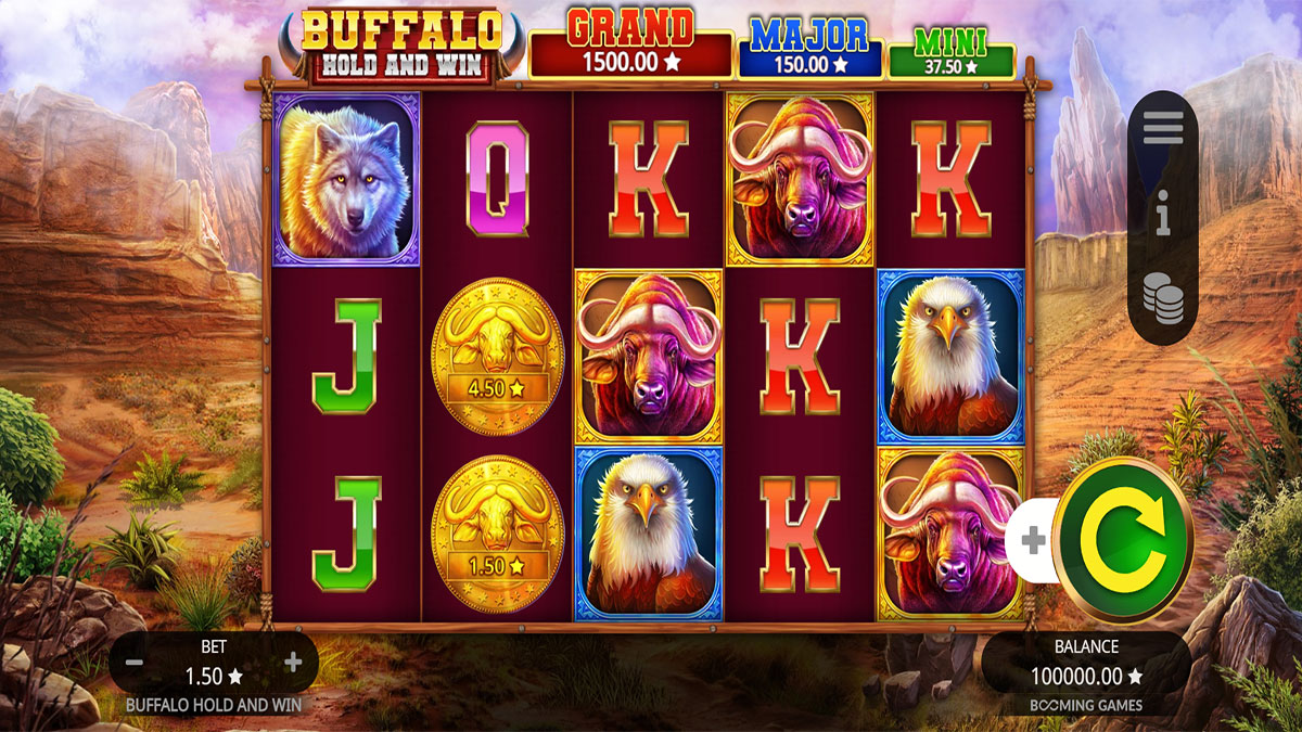 Buffalo Hold and Win screenshot