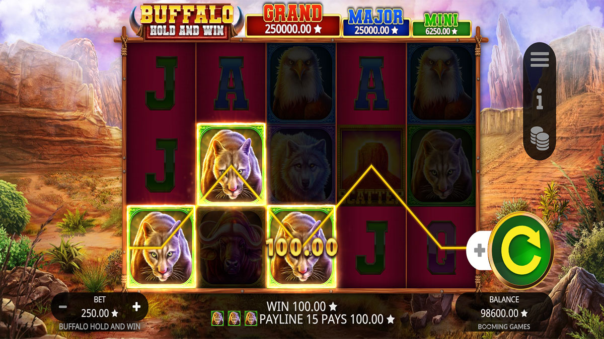 Buffalo Hold and Win screenshot