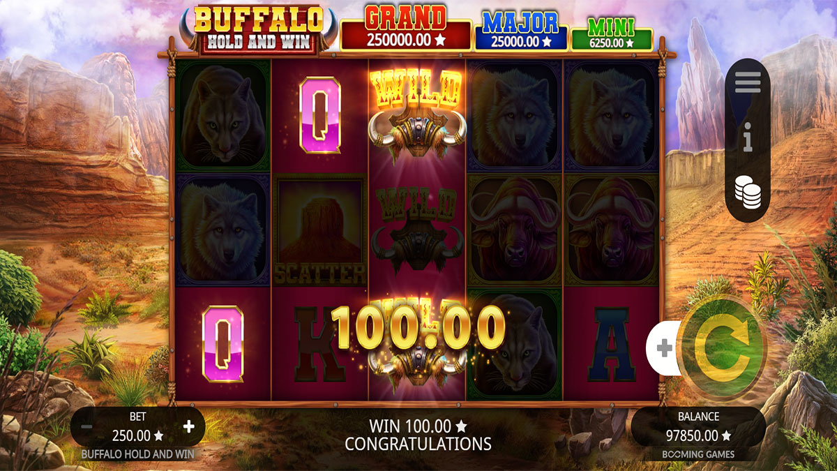 Buffalo Hold and Win screenshot
