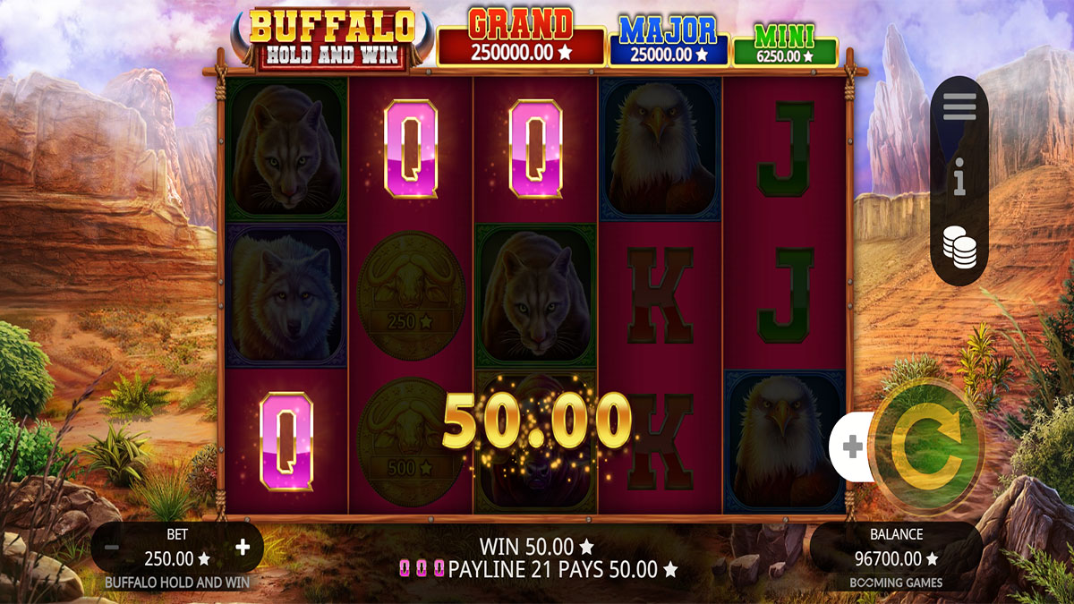 Buffalo Hold and Win screenshot