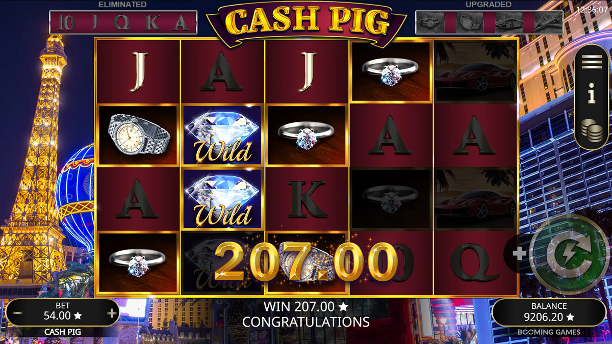Cash Pig screenshot