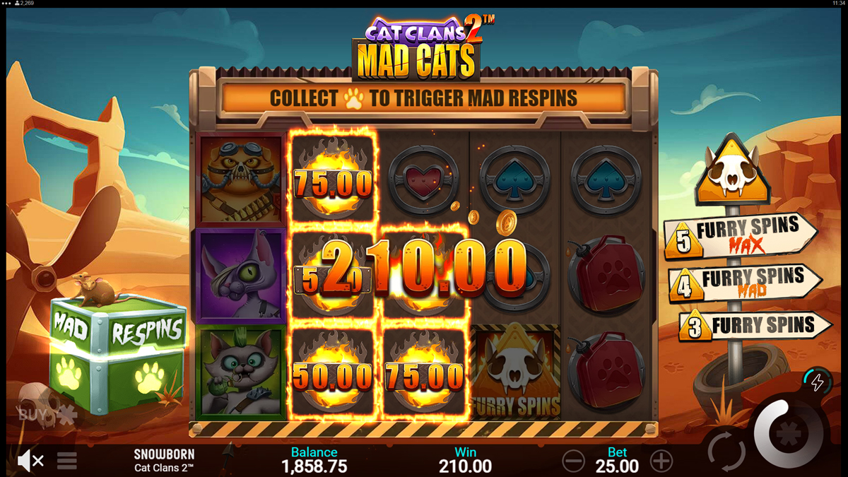 Cat Clans screenshot