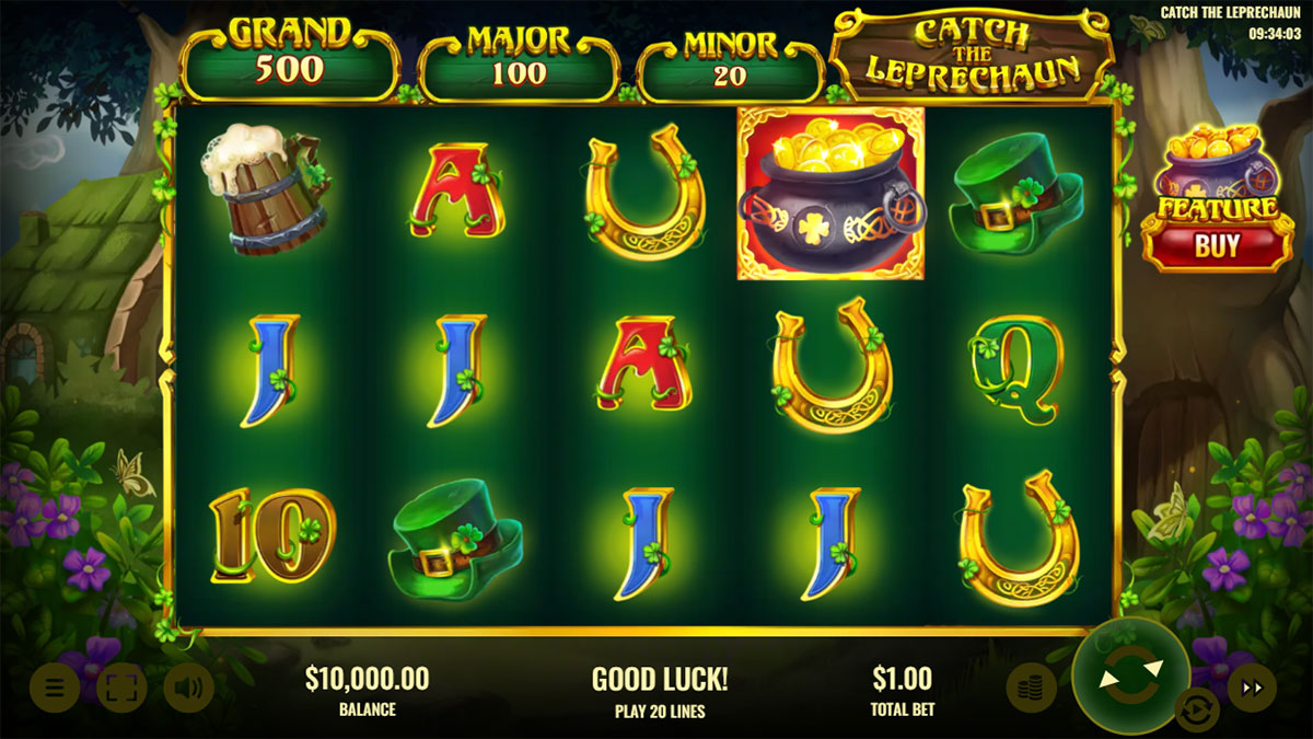 Catch The Leprechaun screenshot