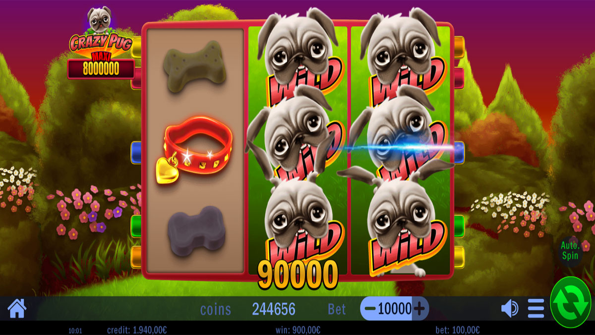 Crazy Pug screenshot