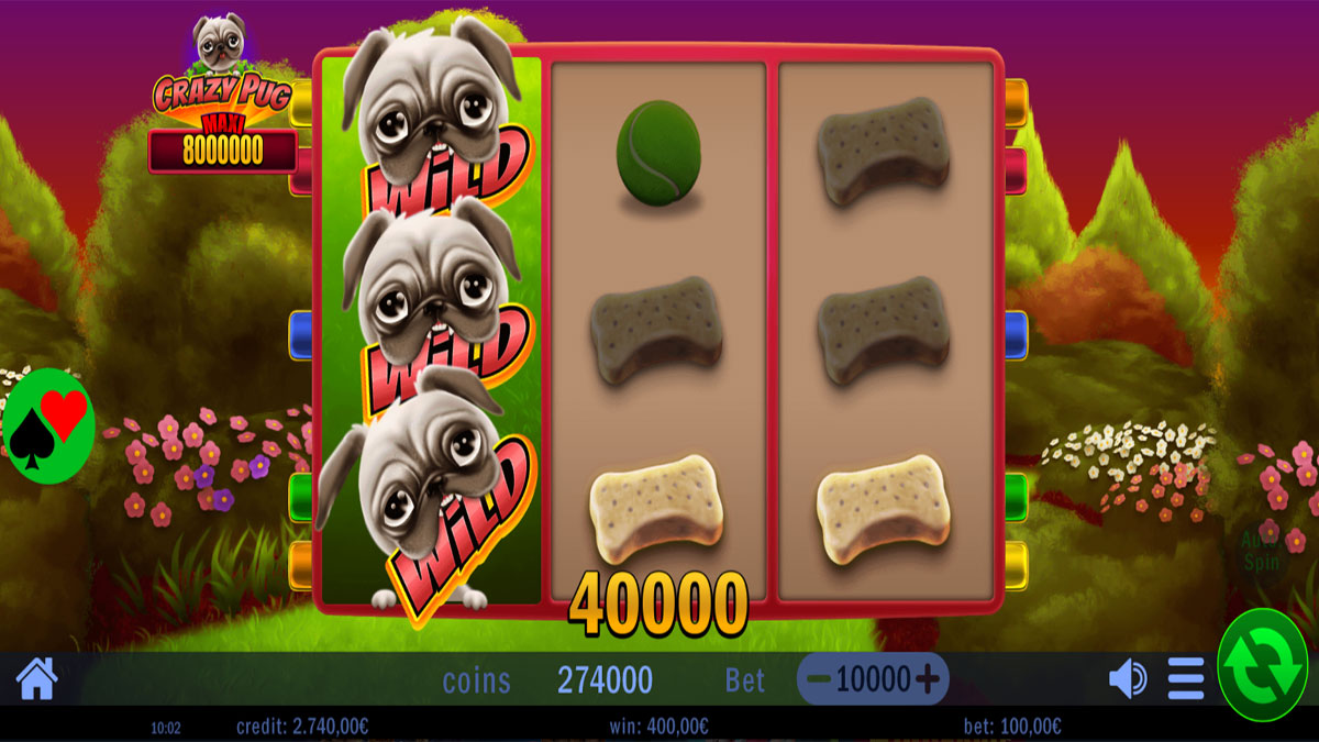Crazy Pug screenshot
