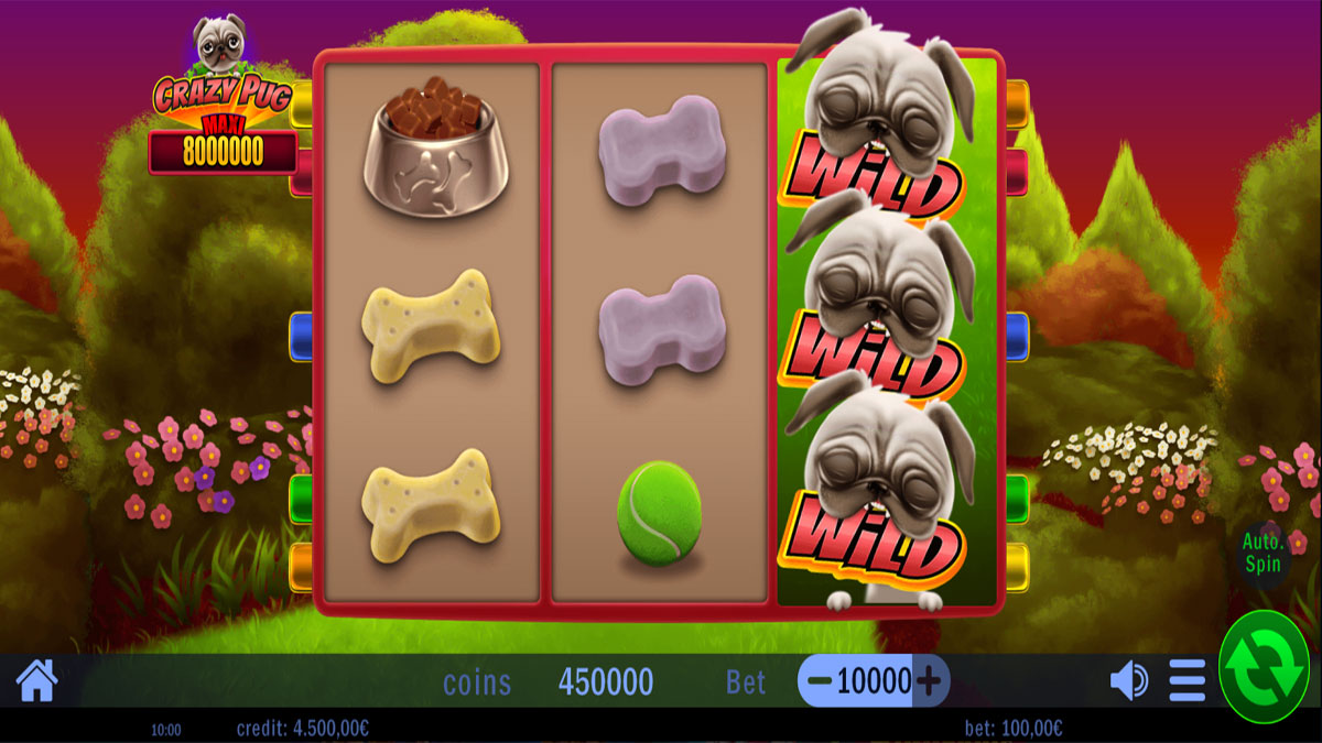 Crazy Pug screenshot