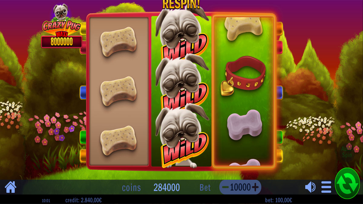 Crazy Pug screenshot