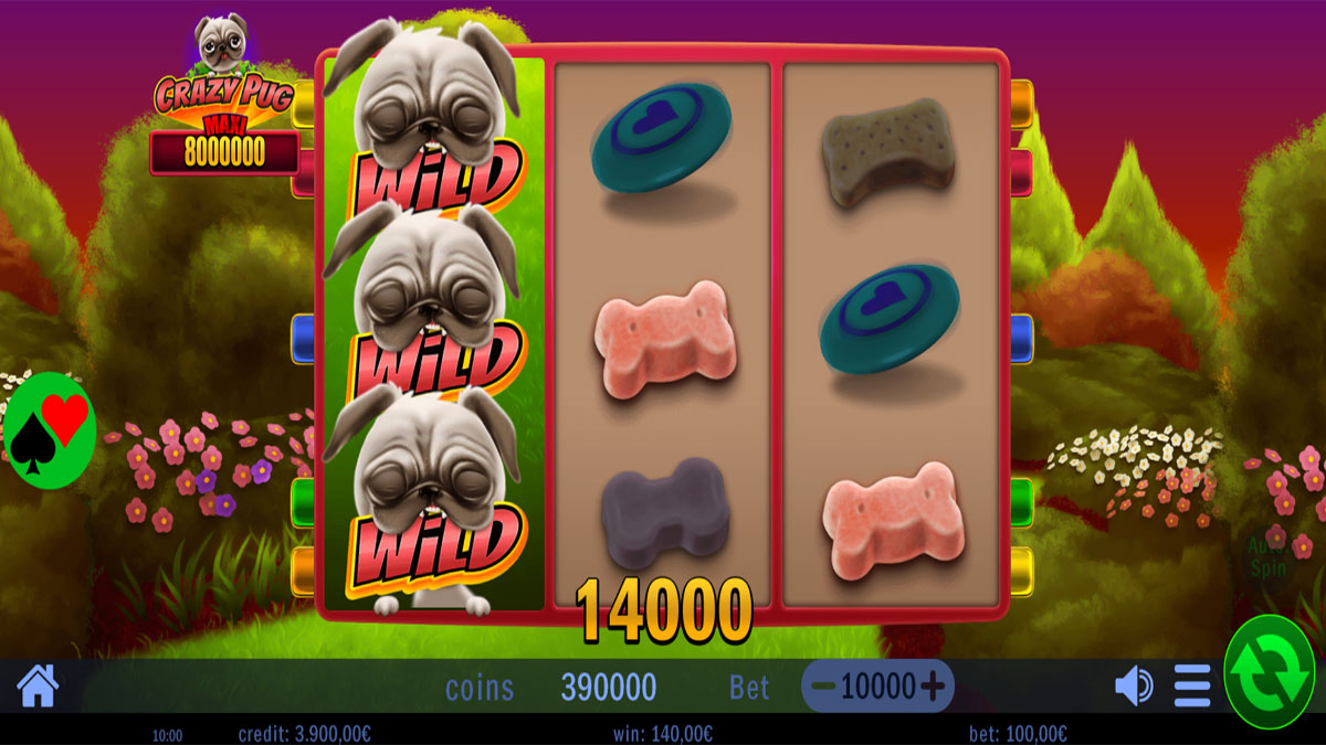 Crazy Pug screenshot