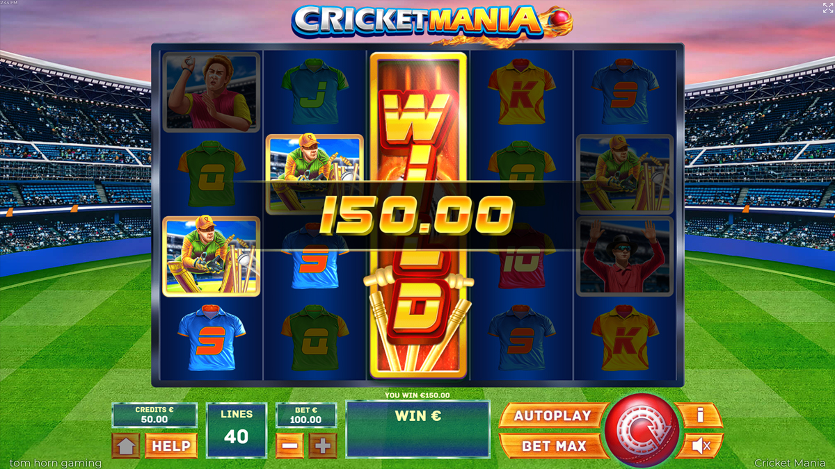 Cricket Mania screenshot