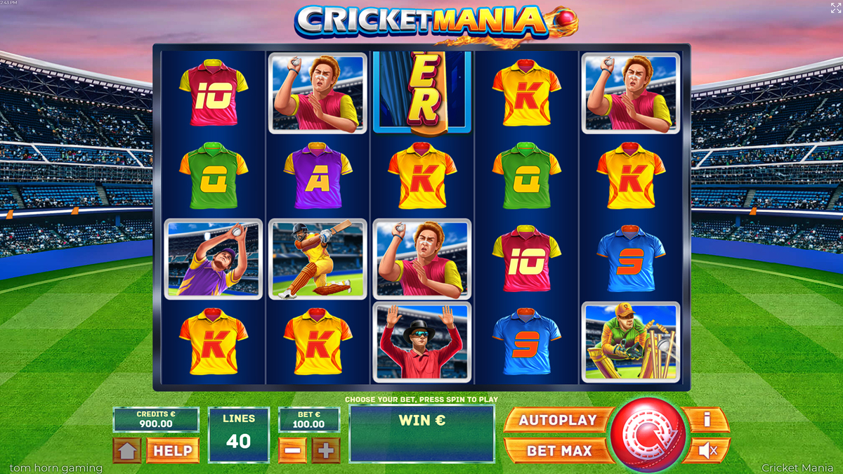 Cricket Mania screenshot