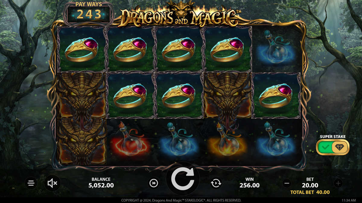 Dragons And Magic screenshot