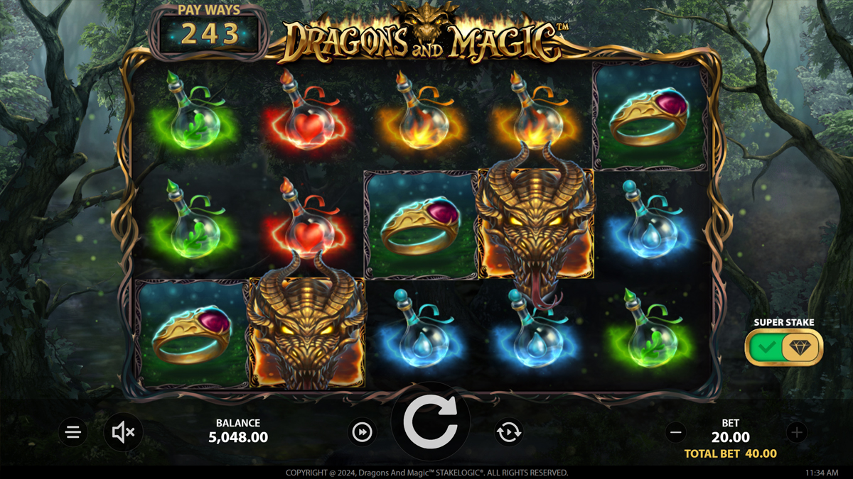 Dragons And Magic screenshot