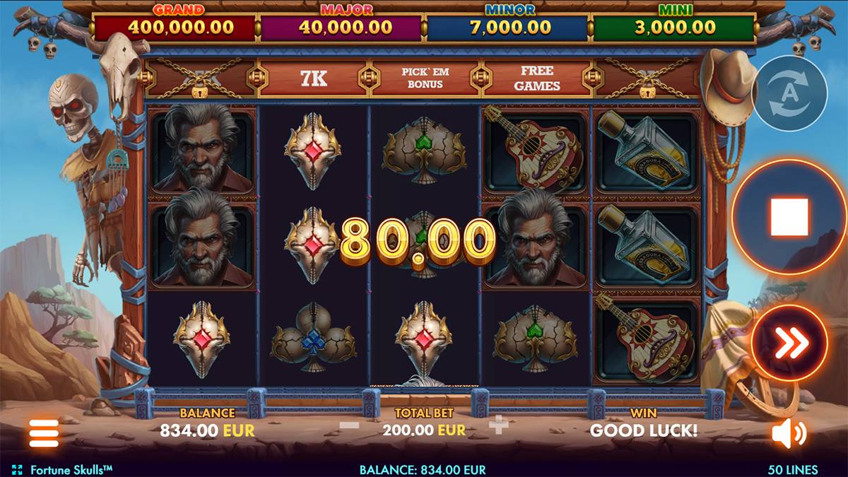 Fortune Skulls screenshot