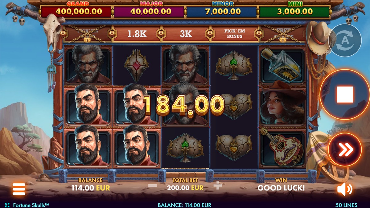 Fortune Skulls screenshot